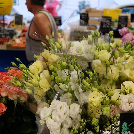 Tdr - Fabulous - 5 Stars Terrace - 4pax Old Town Apartment Antibes