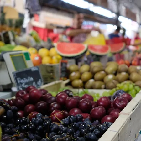 Tdr - Fabulous - 5 Stars Terrace - 4pax Old Town Apartment *